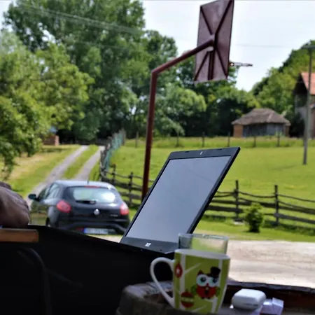 Suricka Bajka * Loznica