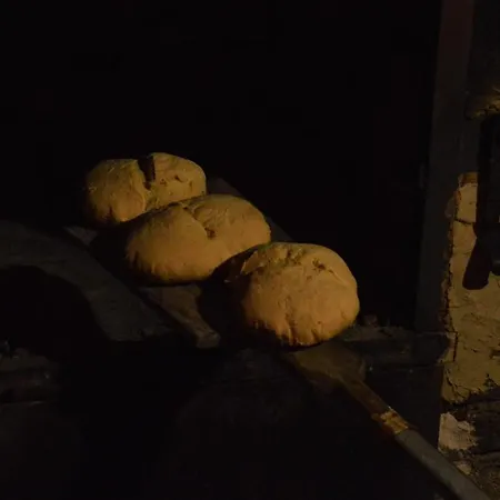 Suricka Bajka Lägenhet