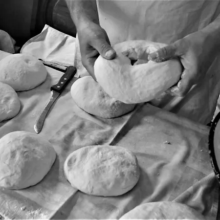 Suricka Bajka Loznica