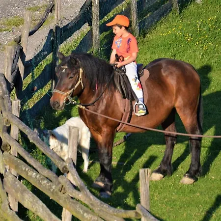 Suricka Bajka Lägenhet Loznica