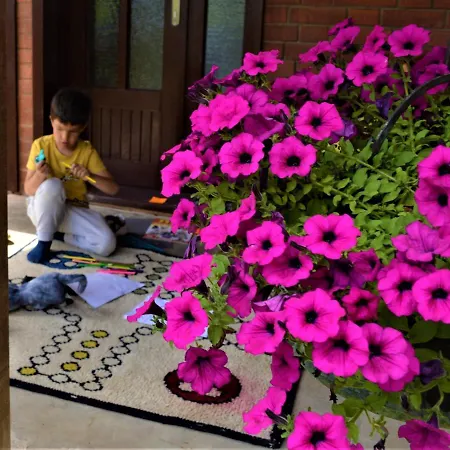 Suricka Bajka Loznica