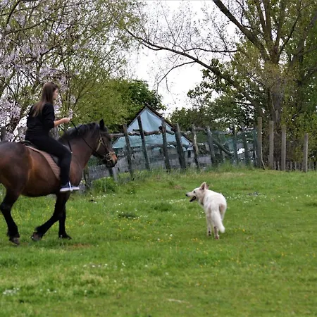 Lägenhet Suricka Bajka
