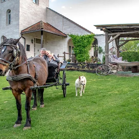 Lägenhet Suricka Bajka