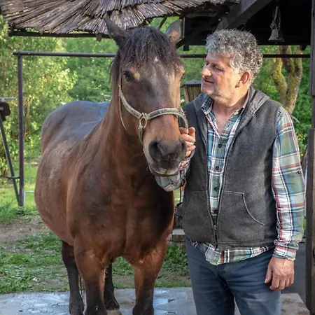 Apartment Suricka Bajka Loznica