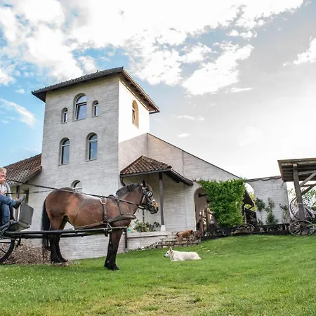 Suricka Bajka * Loznica