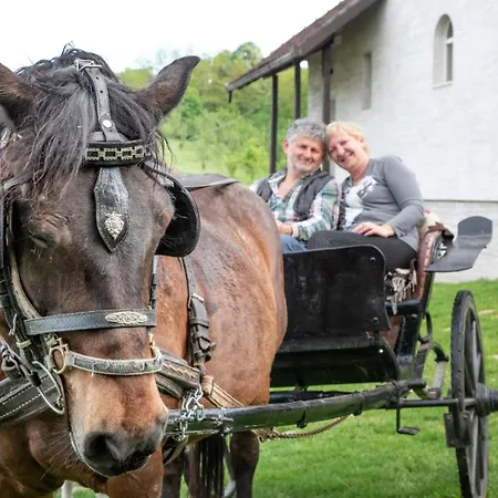 Suricka Bajka Apartment *