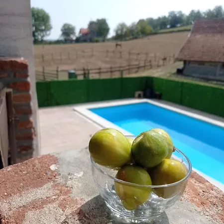 Lägenhet Suricka Bajka *