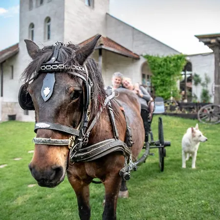 Suricka Bajka Loznica