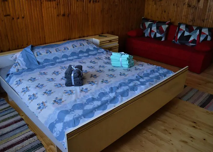 Suricka Bajka * Loznica