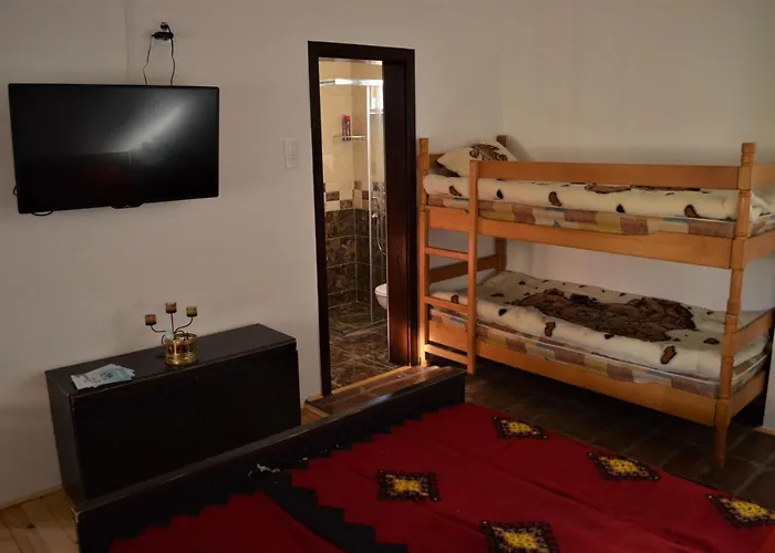 Suricka Bajka * Loznica