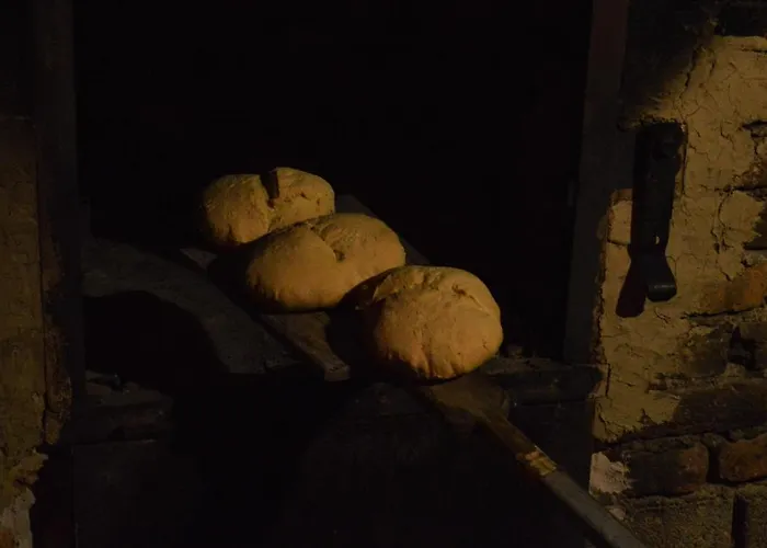 Suricka Bajka Apartment