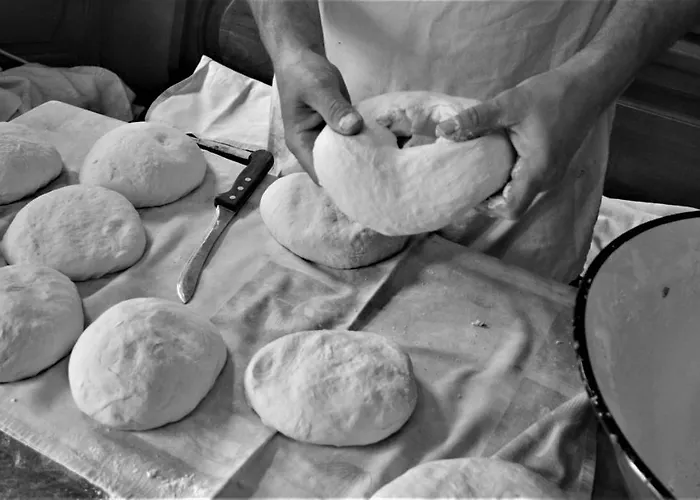 Suricka Bajka Loznica