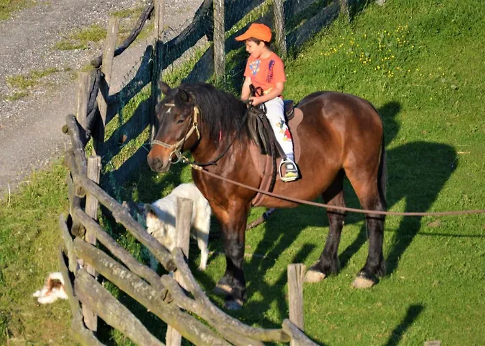 Suricka Bajka Apartment Loznica