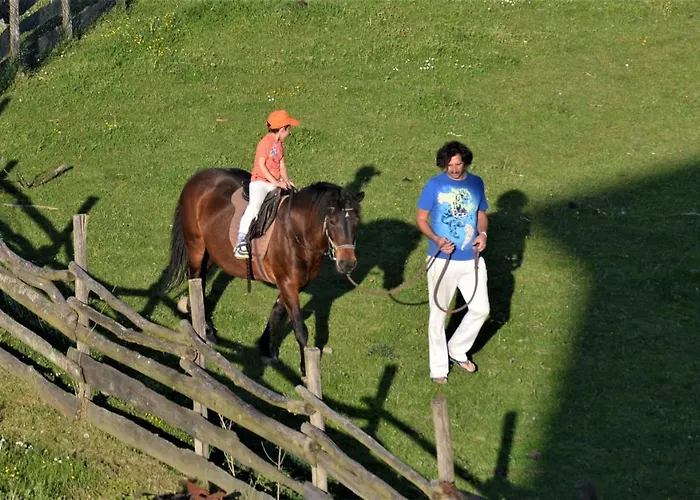 Apartment Suricka Bajka *