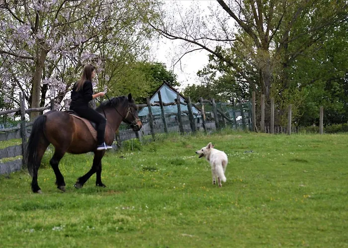 Apartment Suricka Bajka
