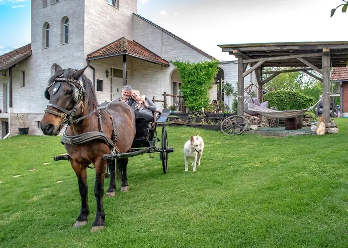 Apartment Suricka Bajka