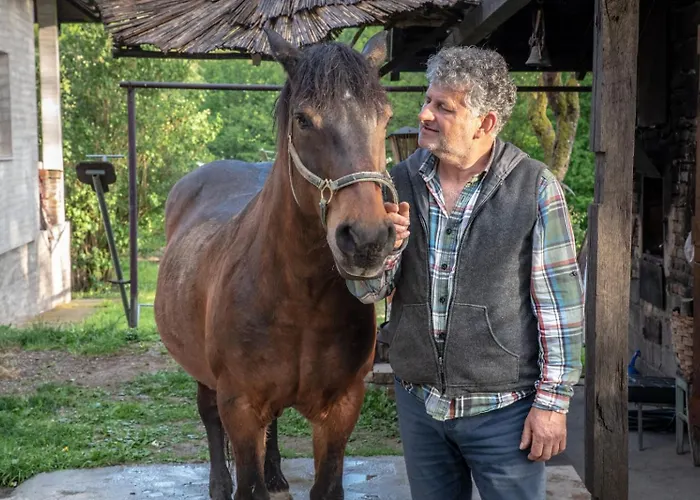 Apartment Suricka Bajka Loznica