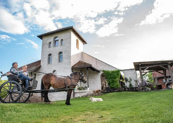 Suricka Bajka * Loznica