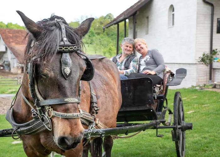 Suricka Bajka Apartment *