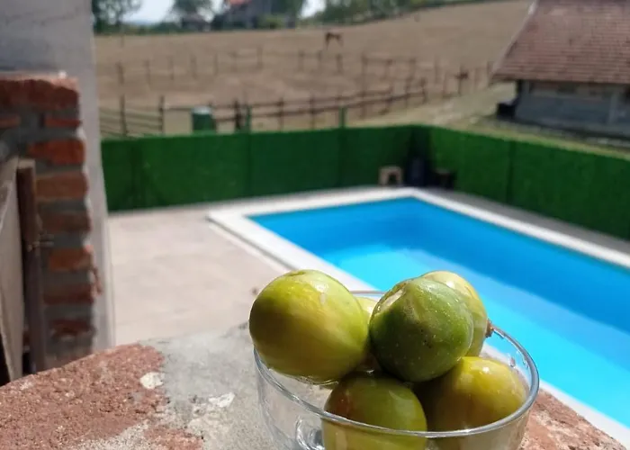 Apartment Suricka Bajka *