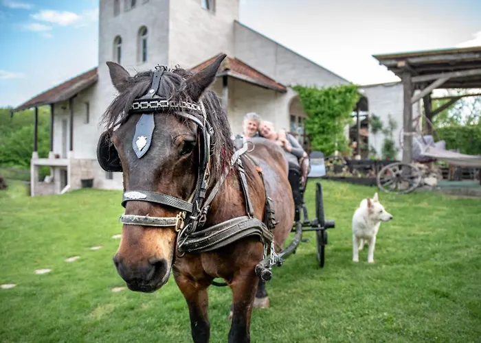 Suricka Bajka Loznica